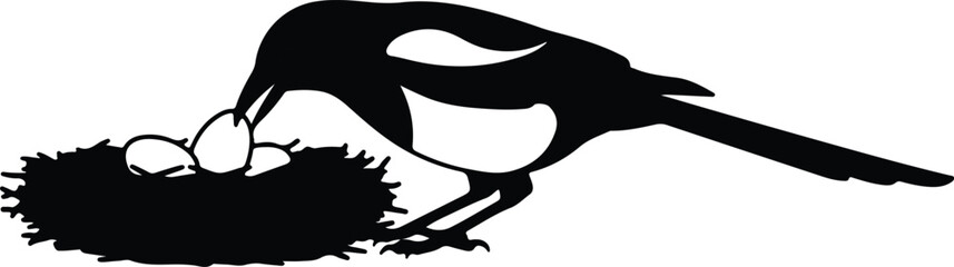 Obraz premium Silhouette magpie bird tending to eggs in a nest isolated vector design