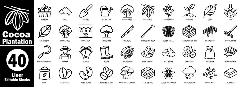 Cocoa plantation icons set. Featuring Cocoa plantation cultivation and chocolate production process icons vector illustrator.