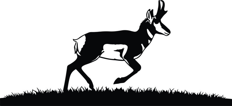 Silhouette pronghorn antelope running across a grassy field landscape vector design