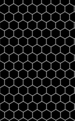 Obraz premium Black And White Hexagon Geometric Pattern Seamless Vector Illustration Modern Honeycomb Texture Design on a Clean Background.