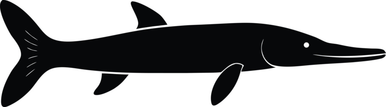 longnose gar silhouette vector art illustration, black and white design