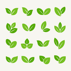 Green leaf vector icons collection