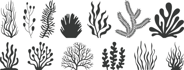 Collection of stylized black silhouettes of various aquatic plants and seaweed Keywords: seaweed, kelp, algae, aquatic plant