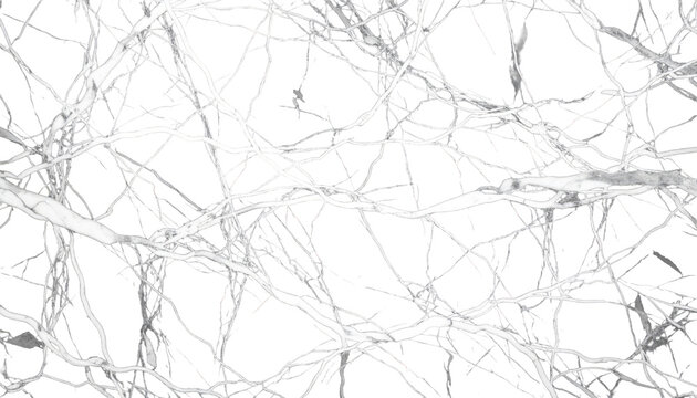 Abstract transparent ice crystal texture with cracks isolated on transparent background. Realistic frozen water surface, winter frost pattern, glass splinter effect for VFX design.
