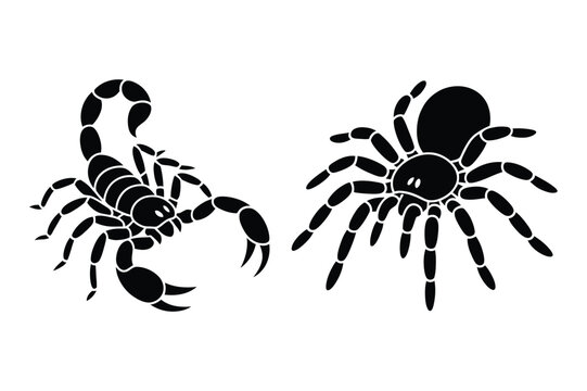 Scorpion and tarantula - arachnid silhouette icons