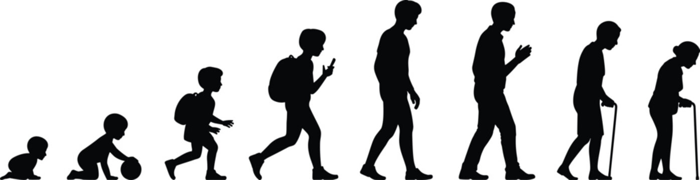 Human life silhouettes, aging progression figures, childhood to elderly stages, development icons, generational design art, growth outline, lifetime journey illustration