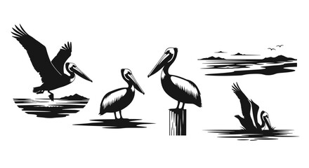 Fototapeta premium Adobe Illustrator Artwork