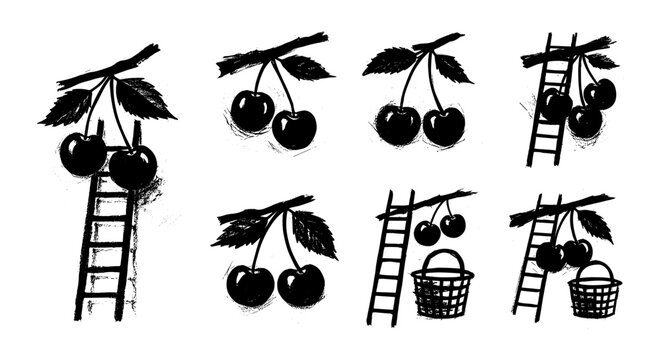 Black and white illustration of cherries on branches with ladders and baskets