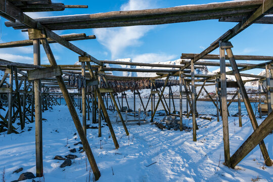 Traditional wooden fish drying racks on snowy shoreline in Lofoten, Norway