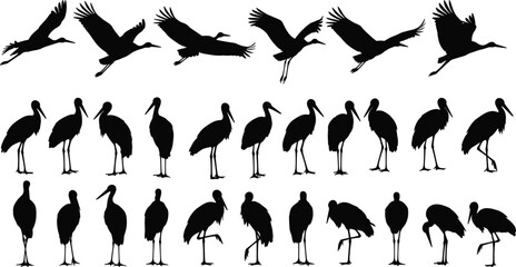 Obraz premium Stork and crane silhouette set, flying and standing bird vector collection, cad drawing flat vector illustration, wading water bird icons