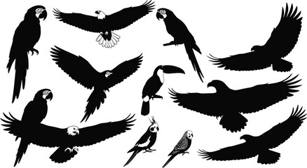 Tropical bird and eagle silhouette set, cad drawing flat vector illustration, macaw parrot and soaring hawk icons isolated on white. © Robiul