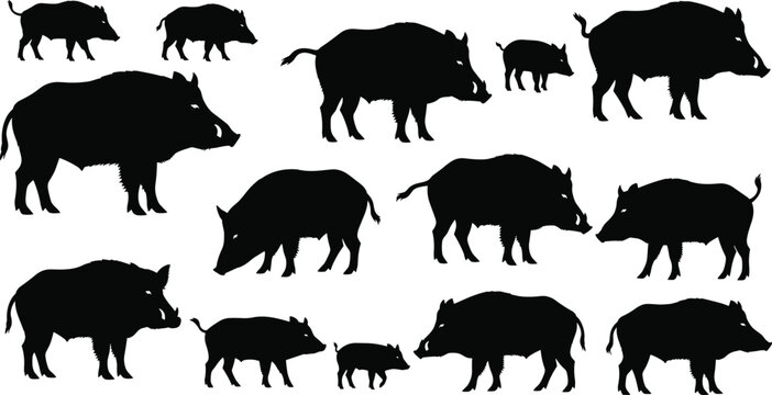 Wild boar silhouette set, forest hog and pig vector collection, cad drawing flat vector illustration, swine farm animal design elements