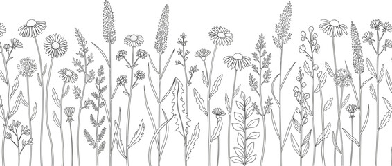 Wildflower meadow line art border, cad drawing flat vector illustration, field flower botanical sketches, summer garden plants isolated on white.