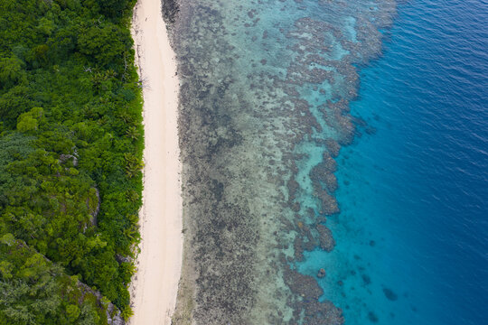 Namena Island, found in the Bligh Channel, east of Viti Levu in Fiji, is fringed by healthy coral reefs.