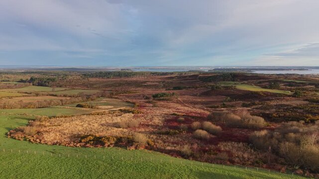 Aerial View of Jurassic Coast Spring Vegetation and Coastline near Studland, Dorset, England
