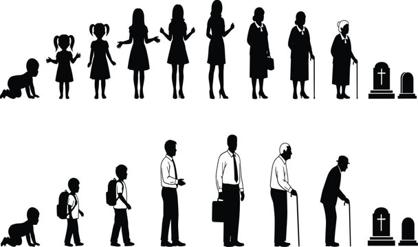Human life cycle silhouettes, male female stages, childhood adolescence adulthood, aging progression, mortality concept, family journey, time passage, universal aging