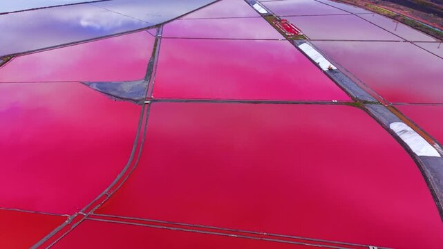 Top view of geometric shapes formed by dikes and vibrant pink water in salt production pans. Abstract aerial pattern of pink salt evaporation ponds.