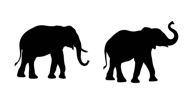Two elephant silhouettes african wildlife animal illustration vector art design template image