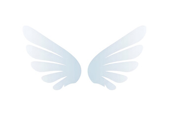 Obraz premium Delicate light blue wings with intricate feather patterns spreading apart