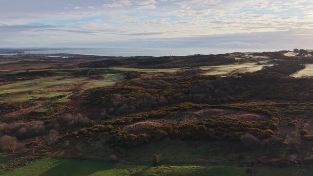 Aerial View of Jurassic Coast Spring Vegetation and Coastline near Studland, Dorset, England
