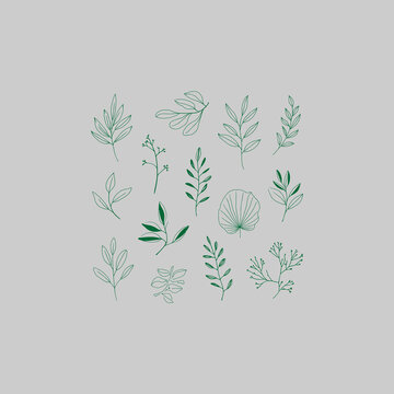 abstract green tree with leaves. set of leaf bundle Organic Leaf Doodle Graphic Elements Collection.