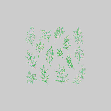 green leaves on white background, Hand-Drawn Green Leaf Doodles and Botanical Sprigs on Grey Background.