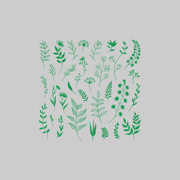 abstract green tree with leaves. set of leaf bundle Organic Leaf Doodle Graphic Elements Collection.