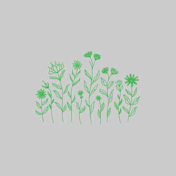 abstract green tree with leaves. set of leaf bundle Organic Leaf Doodle Graphic Elements Collection.