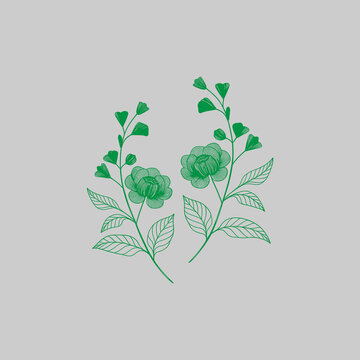 abstract floral background with flowers Hand-Drawn Green Floral Line Art with Two Flowers and Leaves.