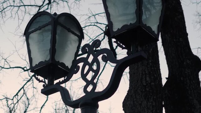 Close-up of lanterns in a city park in the historic center against the backdrop of trees in the evening