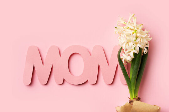 Mothers day concept with paper text and hyacinths on pink background, copy space