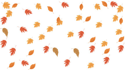 Beautiful autumn falling leaves composition with various orange and yellow foliage isolated on white background