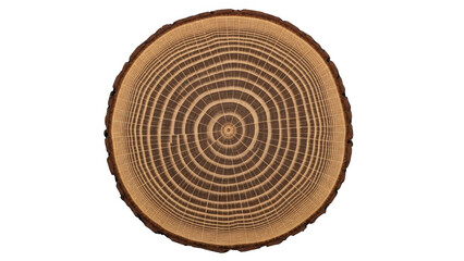 Fototapeta premium Cross section of tree trunk isolated on transparent background