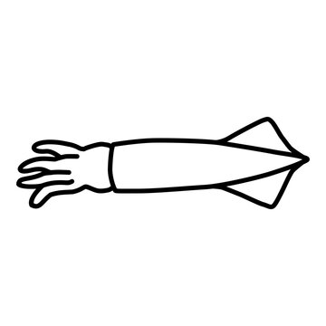 belemnite line icon