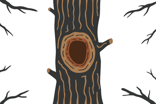 Dark tree trunk with hollow and bare branches on white background.