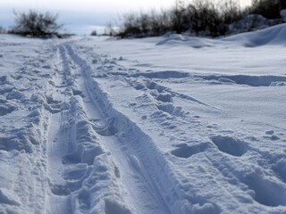 Glistening ski tracks in snow field, sunlight reflecting off textured powder, shallow drifts bordering narrow trail toward distant