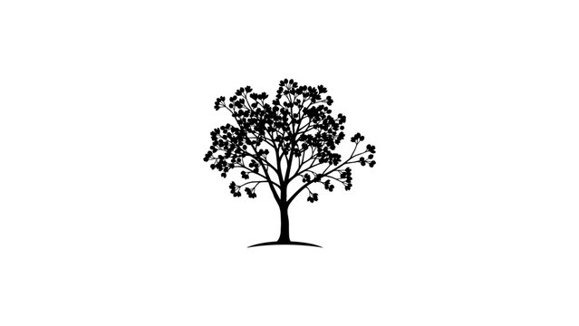 Silhouette of a blossom tree on white background: elegant natural design