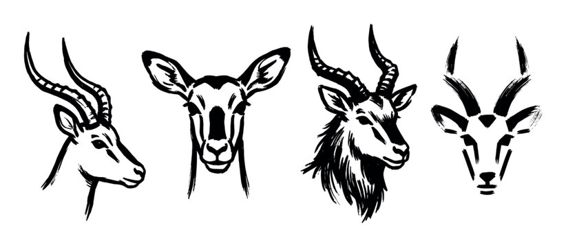 Four black ink brushstroke illustrations of antelope heads showing different artistic styles, from detailed portraits to minimalist abstract forms in a hand-drawn collection