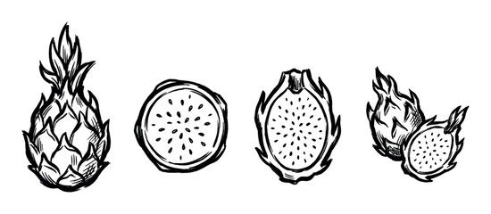Fototapeta premium Hand-drawn dragon fruit illustrations set showing the whole exotic pitaya, cross-section slices, and halves in a rough, expressive black ink brush sketch style