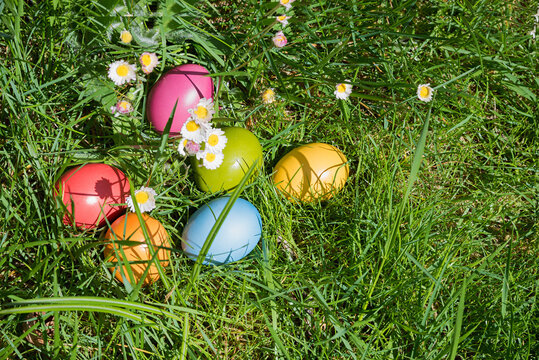 easter eggs in various colors, lying in the green grass with daisy flowers