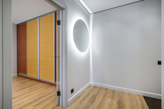The scene shows a hallway leading to a storage closet with wooden doors. A round light fixture is mounted on the wall. The floor is made of light wood