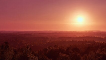Obraz premium Sunset over misty forest landscape
