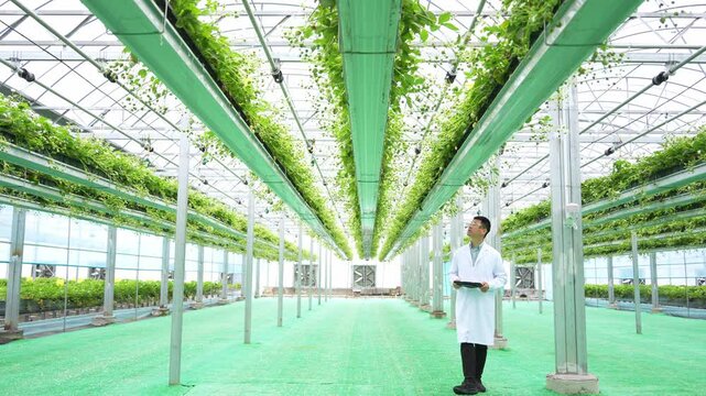 Scientist reviewing data on a tablet inside a modern vertical farming greenhouse