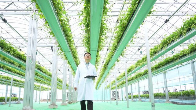 Scientist using tablet to monitor plants in a modern greenhouse facility