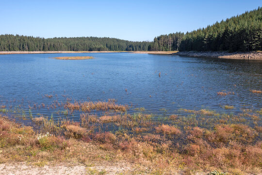 Shiroka polyana (Wide meadow) Reservoir, Bulgaria