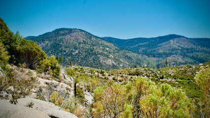 Yosemite national park