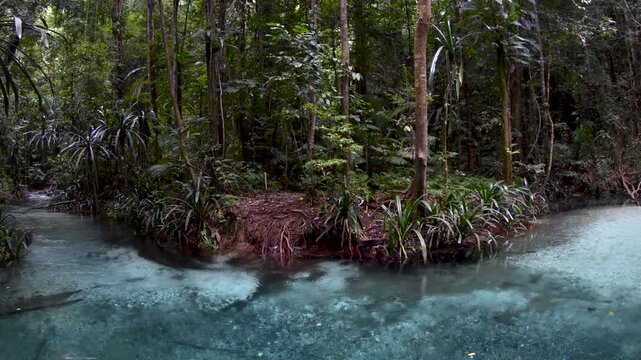 Kali Biru Blue River flowing through dense jungle