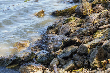 Obraz premium Rocky Shoreline With Algae-Covered Stones and Gentle Lake Water Lapping the Coastline
