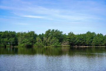 Obraz premium Calm Lake With Green Trees Along Shoreline Under Soft Cloudy Sky, Peaceful Nature Landscape