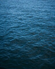 Ocean's Surface: A vast expanse of rippling blue water. Capturing the essence of the ocean, the image presents a texture of gentle waves.
